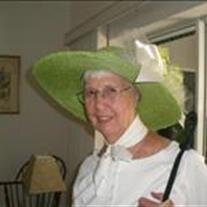 Patricia Ann Willoughby Steilberg
