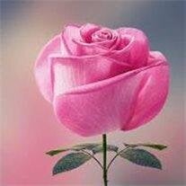 Mrs. Margaret  Rose Tascon Alonso