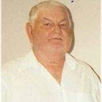 Ellis Paul Gwin
