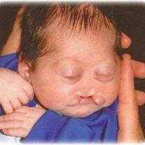 Brayden Allin LaCook