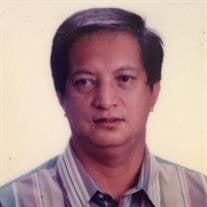 Alfredo Punzalan Jr.