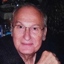 Mr. Amin Kamal Gemei