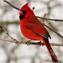 Geraldine Meta Hagedon