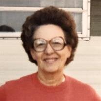 Nancy Jean  Lee