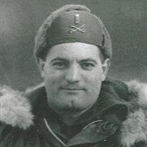 Giulio Louis DiSerafino