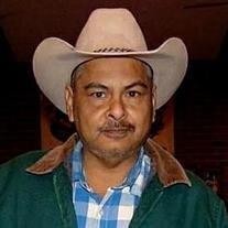 Armando A.  Trevino
