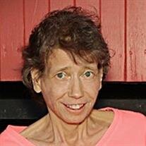 Dana Garies