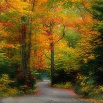 Charles William Martin