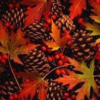 Teresa Tan Libatique