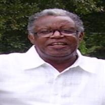 Mr. Leo  Paul Joseph