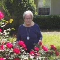 Mrs. Mary  Ann Foley