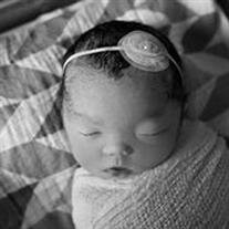Penelope Sloane Murray