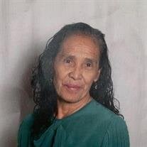 Natalia  Barcenas Moctezuma