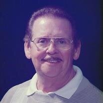 Mr. James Elkins