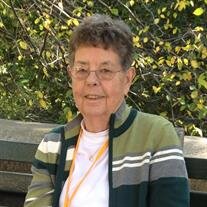 Ardis  Ann Tammen