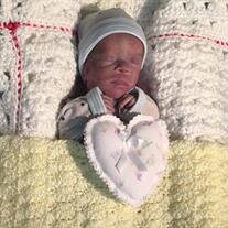 Kingston Alexander Hamlett