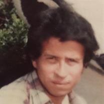 Guadalupe  "Lupe" M. Garcia Jr.