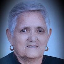 Maria del Socorro Cruz-Belmonte