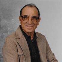 Palmer  E.  Martin 