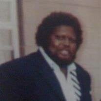 Mr. Robert  Lee Williams