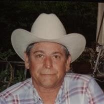 Wayne Delano Price