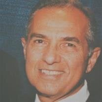 Theodore  A.  Vecchio