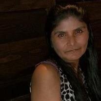 Dolores Hernandez