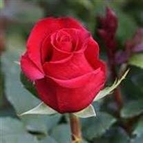 Rafaela Cuevas Mercado