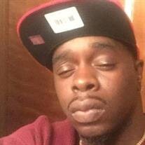 Mr. Joseph Lamar Turnipseed Jr.