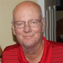 James "Mike" Michael McNeese