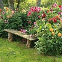 Esther  Lavelle-Groat Bishop