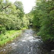 William "Bill" Frank Kosar Jr