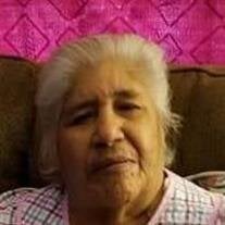 Maria Dolores Amaro