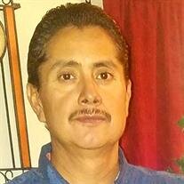 Primitivo Alvarado