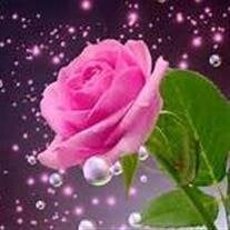 Elsie Juanita Wallace