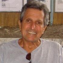 ROBERT M ZEVE