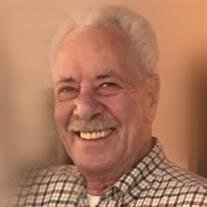 Mr. Leon  Armando Audino