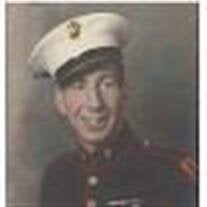 Gerald Norman SPRINGER