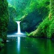 Albert  Ross-Simmons