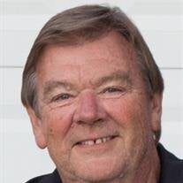 Terry W. Collins