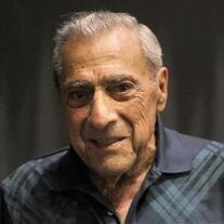 Louis J. Panebianco