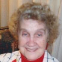 Mrs. Elizabeth  Schattler