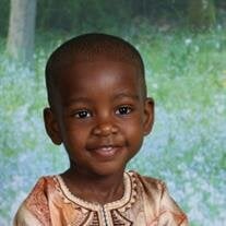 Zion Oyedapo Akinrefon