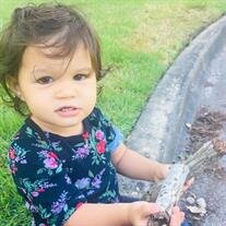 Saira Diane Harshman