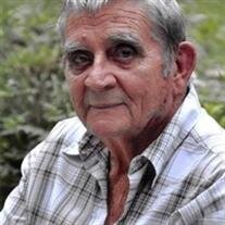 Jim E. Landis