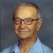 David Meredith Snelson