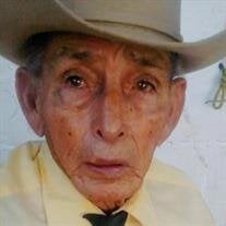 Jose  Carmen Alvarado