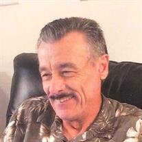 Alan  E  Amos 
