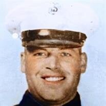 William Edward Elkins