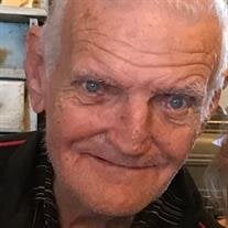 Verlin Lonnie Schwake